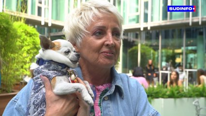 L'élection du plus beau chien bientôt diffusée sur RTL!