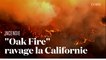 Les images aériennes de "Oak Fire", le feu qui menace la forêt du parc Yosemite en Californie