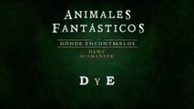 Animales fantásticos y dónde encontrarlos (03: D y E) - Audiolibro en Castellano