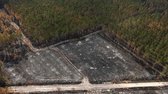 Incendies en Gironde : « Tous les habitants encore évacués vont pouvoir regagner leur domicile »