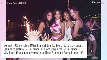 Malika Menard fête ses 35 ans : des Miss France, un champion du monde... soirée branchée en plein Paris