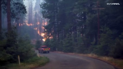 Un violent incendie continue de s'étendre en Californie, des milliers d'évacués