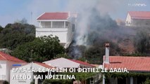 Πυρκαγιές: Ενεργά μέτωπα σε όλη την χώρα - Δεκάδες χιλιάδες στρέμματα καμμένα σε Δαδιά και Λέσβο