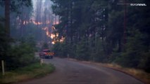 El mayor incendio en California se acerca al parque de Yosemite con sus sequoias bimilenarias