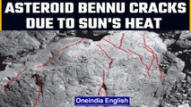 NASA: Asteroid Bennu develops cracks due to sun's heat | Oneindia News *NASA