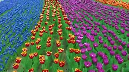 15 Unbelievable Places that Actually Exist