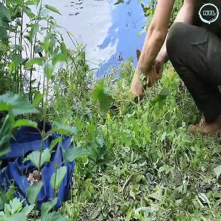 Away From The Noisy City, Bushcraft Camping in the Cave, Catch and Cook