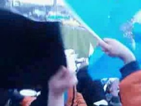 OM-ASSE Virage sud Winners