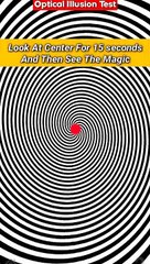 Optical Illusions That Make You See Things 