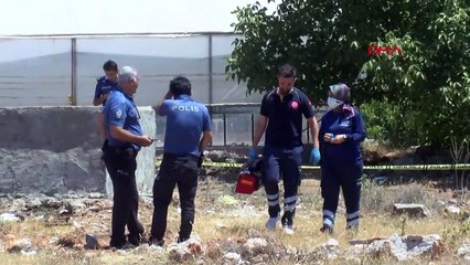 Boş arazide ağaç altında korkunç manzara