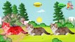 Animasi mewarnai hewan kucing | cat animal coloring animation