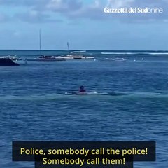 Foca monaca attacca bagnante alle hawaii