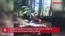 Sahibine kavuşan köpeğin sevinci kameralara yansıdı