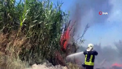 Kullanılmayan araçta başlayan yangın sazlık alana sıçradı