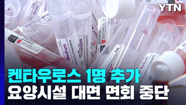 BA.2.75 감염 4명으로 늘어...요양병원 접촉면회 제한 / YTN