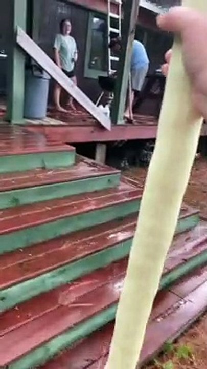 Massive Zucchini Surprises Sibling