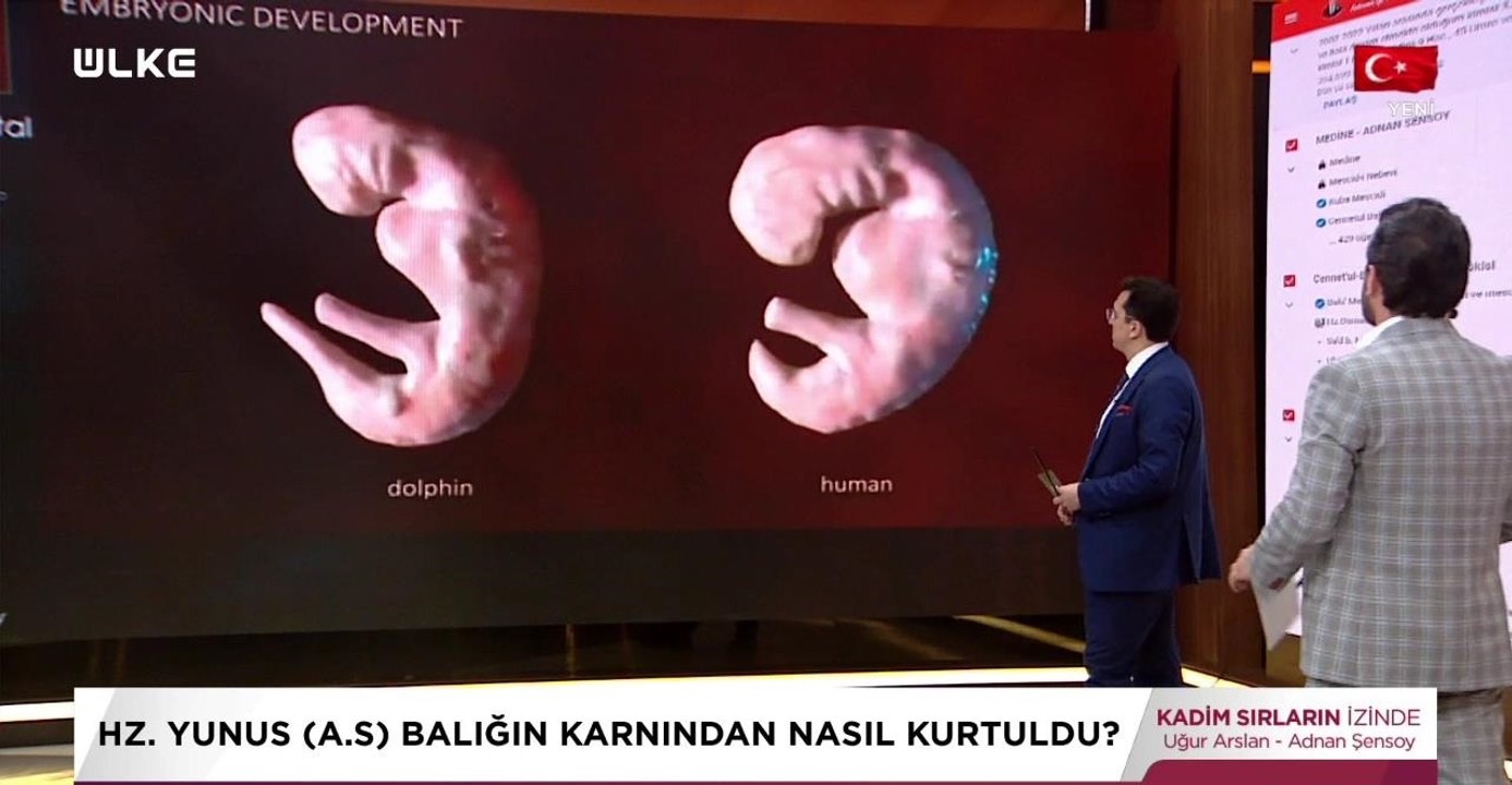 Kadim Sırların İzinde - Hz. Yunus'u Denizde Yutan Balık Hangisiydi? (24 Temmuz 2022)