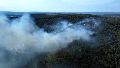 Ormanlık alanda çıkan yangın kısmen kontrol altına alındı