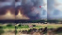 İspanya'da orman yangınları: Alevlerin 60 metre yüksekliğe ulaştığı açıklandı