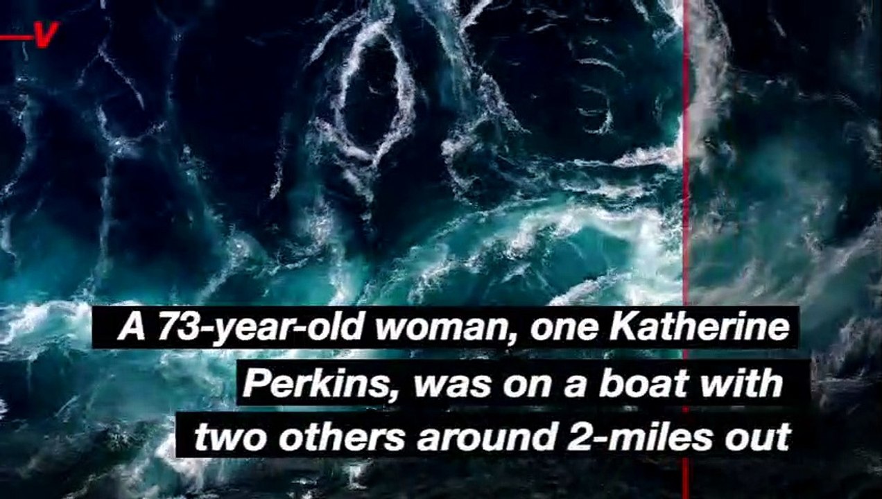 Woman Stabbed by Sailfish While on Fishing Trip in Florida