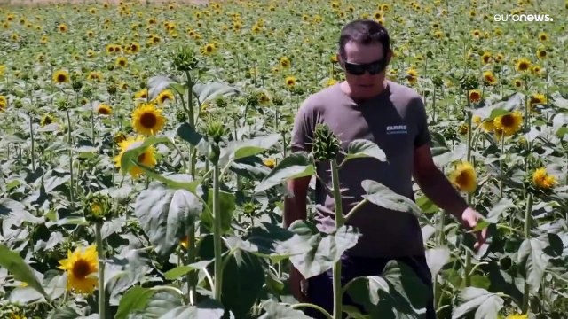 Работу в жару: профсоюзы призывают принять общеевропейский закон