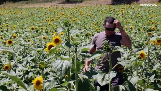 Caldo e morti bianche: l'Etuc chiede una legge europea per proteggere i lavoratori