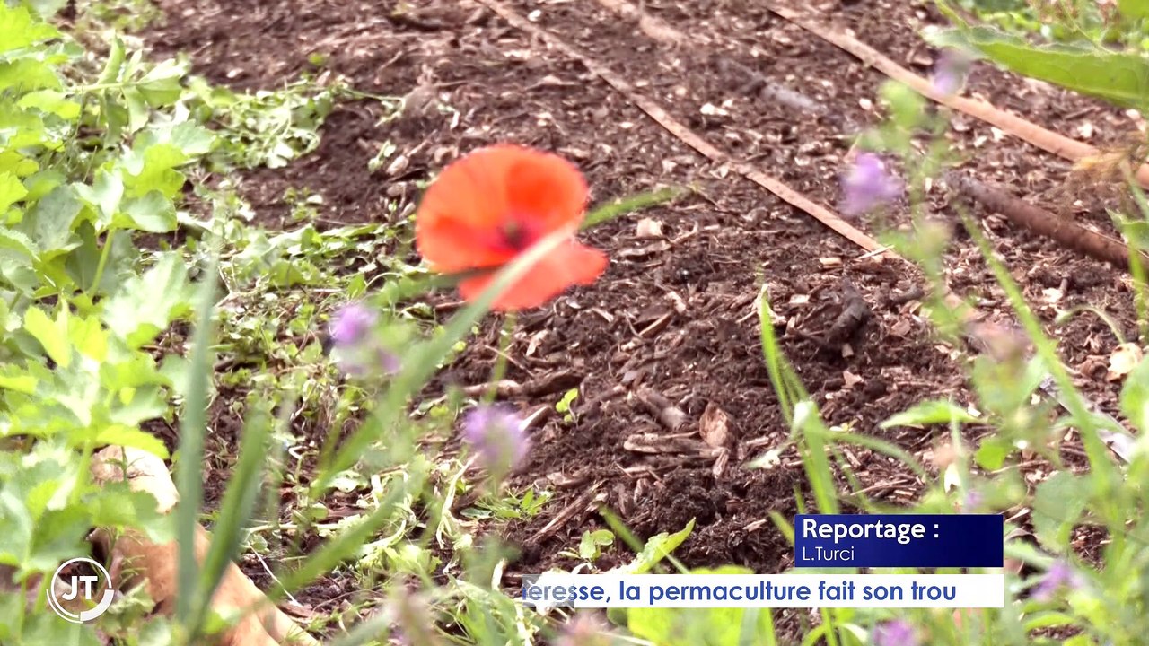 Le Journal - 25/07/2022 - AGRICULTURE / Face à la sécheresse, la permaculture fait son trou