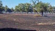 Paraje arrasado por el incendio de un coche en la A-62 a la altura de Sancti Spíritus