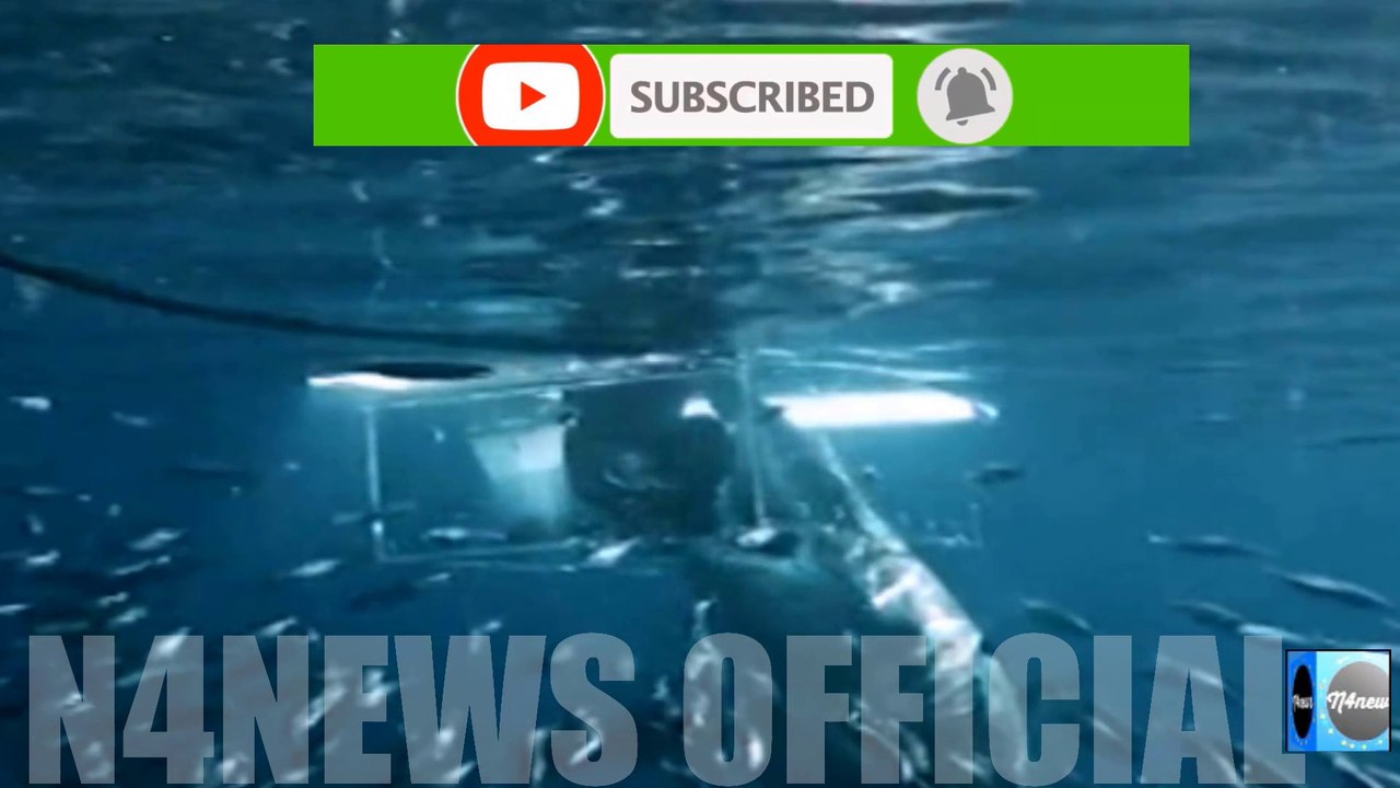 Terrifying Moment Massive 16ft Great White Shark Smashes Open Cage Forcing Diver to Swim for Life