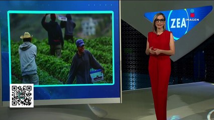 IMSS alista campaña de información sobre el derecho de las personas trabajadoras del campo