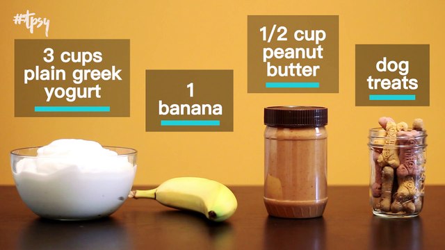 Make Sure Your Furry Friends Are Staying Cool in the Summer with These Ice Pops!