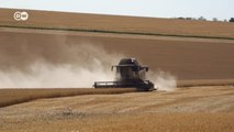Вопреки атаке на порт Одессы: Украина пытается экспортировать зерно