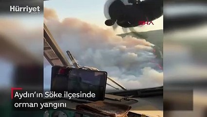 Aydın Söke ilçesinde orman yangını