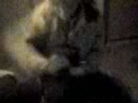 Ahbouch vs choco.21000 Grésilles