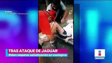 Jaguar ataca a menor que burló cerca en zoológico de Guanajuato