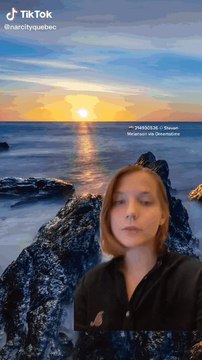 Un grand requin blanc de plus de 11 pieds nage dans les eaux du golfe Saint-Laurent