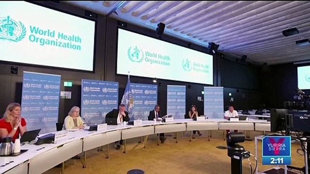 Viruela del mono: ¿qué es, cómo se transmite y cuáles son sus síntomas?