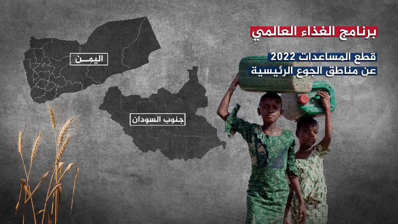 تفاؤل حذر.. هل يحل اتفاق إسطنبول أزمة تصدير الحبوب الأوكرانية؟