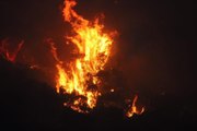 Aydın'da yangın mı çıktı, nerede? (VİDEO) 26 Temmuz Salı Aydın Söke'de yangın mı oldu, yangın nerede çıktı, yangın söndürüldü mü? Son gelişmeler!