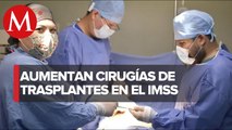 IMSS ha realizado mil 379 trasplantes de órganos en el primer semestre del 2022