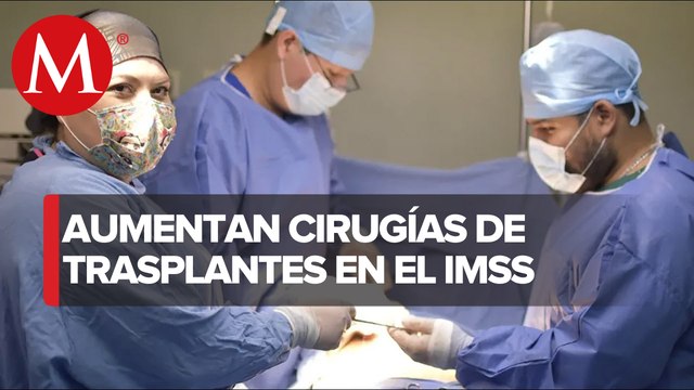 IMSS ha realizado mil 379 trasplantes de órganos en el primer semestre del 2022
