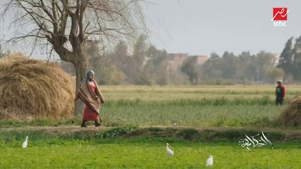 بعد نجاحها في (وش وضهر) و(منعطف خطر).. الفنانة ريهام عبدالغفور في ضيافة (الحكاية)
