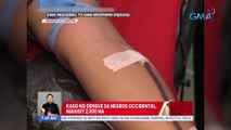 Kaso ng dengue sa Negros Occidental, mahigit 2,000 na | UB