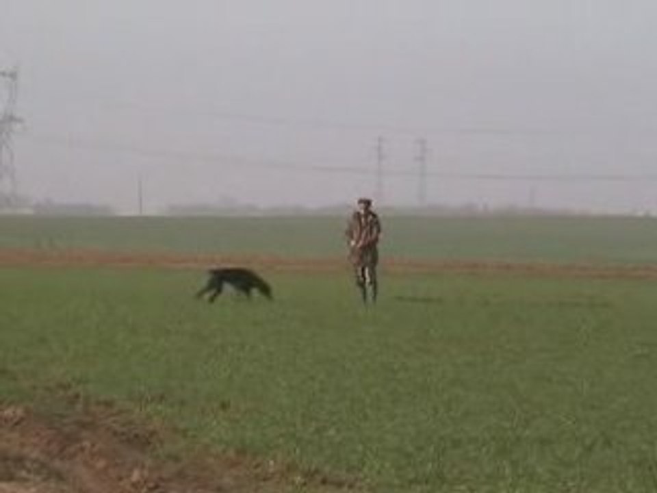 Pistage RCI1-Viva Maria