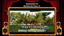 Cean Jr Binibini Karaoke PH