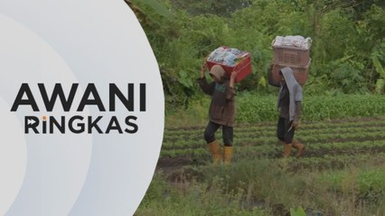 AWANI Ringkas: Pertimbang tenaga kerja Pakistan atau India