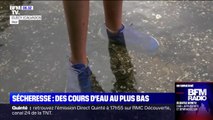 Sécheresse: les cours d'eau au plus bas, 90 des 96 départements français en alerte