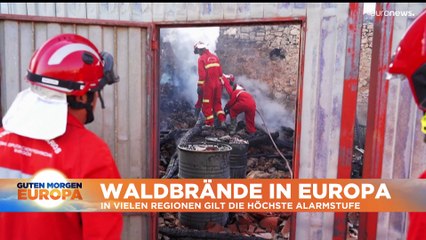 Nachrichten des Tages | 26. Juli - Morgenausgabe