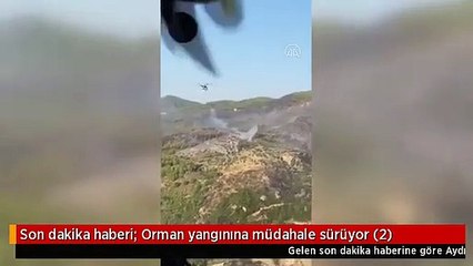 Son dakika haberi: Orman yangınına müdahale sürüyor (2)
