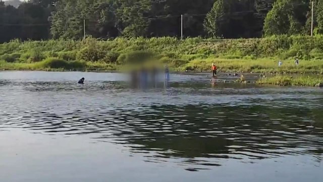 충남 금산 금강변에서 다슬기 잡던 60대 물에 빠져 숨져 / YTN